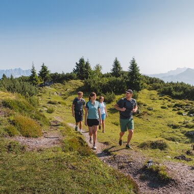 Wandergruppe auf einem Pfad durch Wiesen und Wälder im Brixental, Alpenblick im Hintergrund.